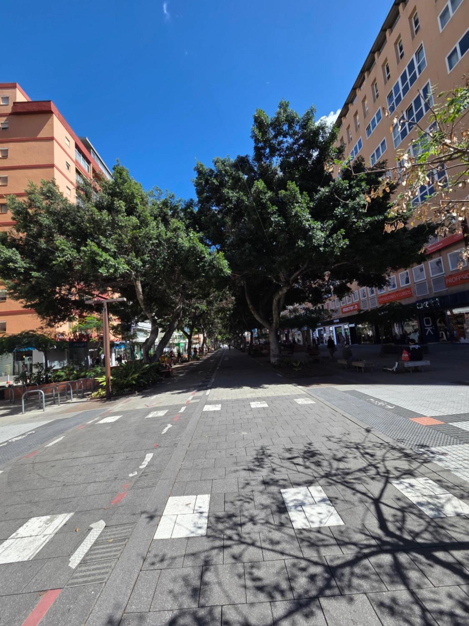 Piso Zona Mesa Y Lopez Appartement *